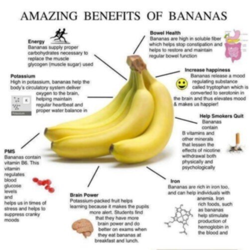fakta om bananer fakta om bananer