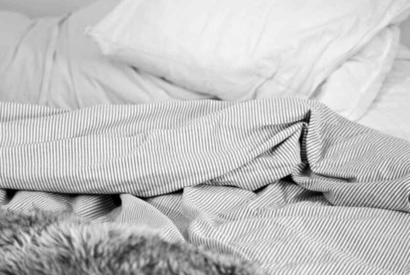_DSC0251
