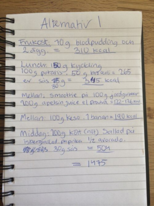 matschema 1500 kcal matschema 1500 kcal