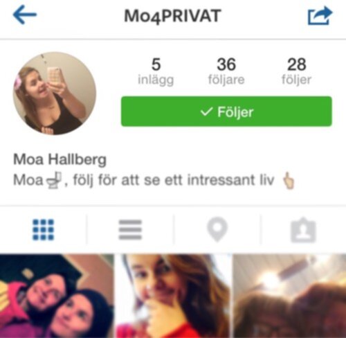 se privata bilder instagram se privata bilder instagram